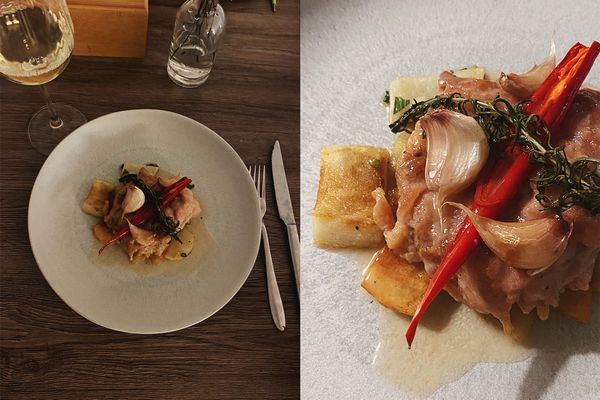 融在嘴裡的托斯卡尼白酒燉雞