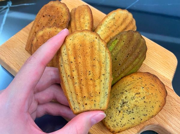 瑪德蓮 Madeleine