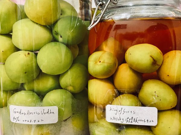 淺漬梅酒：一個人喝15公升還好吧😊