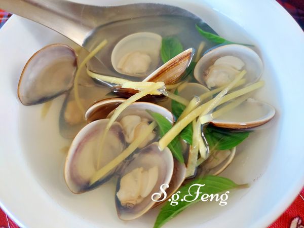 蛤蜊湯(電鍋版)