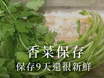 香菜保存