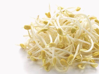 豆芽菜