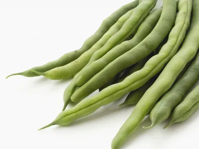 菜豆