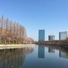 許凱雲