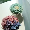 Kay's Fun餐廚樂！