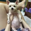 Natalie's 小廚大作