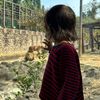 喵兒
