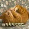 喵星人愛做菜~