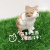 火星熊