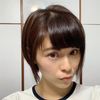 聖誕紅