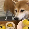 火柴媽