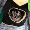 Lun 
