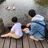 招弟煮料理