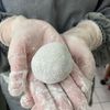 煮吃是七陶