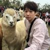 Ray SU