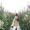 隨性做點心♥
