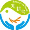 知耕鳥