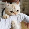 mimi