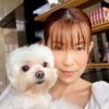 Evelyn  Chen