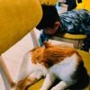 小美食堂