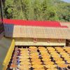 小甄