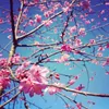 ★可樂將の小廚房★