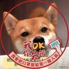 挑食素