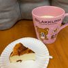 朵貓貓