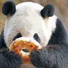 肥丁