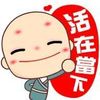 曹冬冬