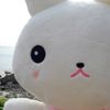 輕庭點水