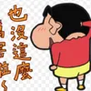 陳淇淇