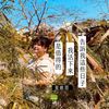 官小柔