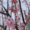 慧慧