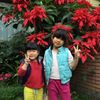 禾&翊