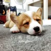 艾葛懶人料理