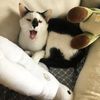 鼻鼻媽咪動手做