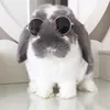 圓圓夫人