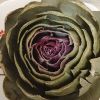  芭樂匠