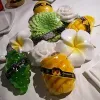 珍妮花