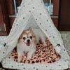 Ivy Chan