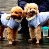 Tida&CUXI