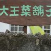 大王菜舖子