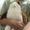 fatcat