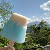 月薪嬌妻