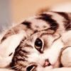 猜猜