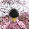 逸卿秀
