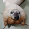 緊張