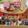 涴涵媽咪
