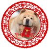 紗舞縭
